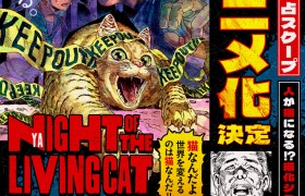 漫画《活尸猫之夜 》宣布动画化 将于2025年放送